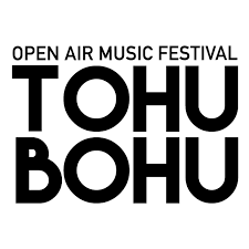 Tohu_Bohu_Festival_Veyras_Sierre_Open_air_Music_Samuel_devantery_photographe_concert_evenement_live